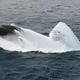 Image for article titled Even More Wacky Submarine Terms You Never Knew You Wanted To Know